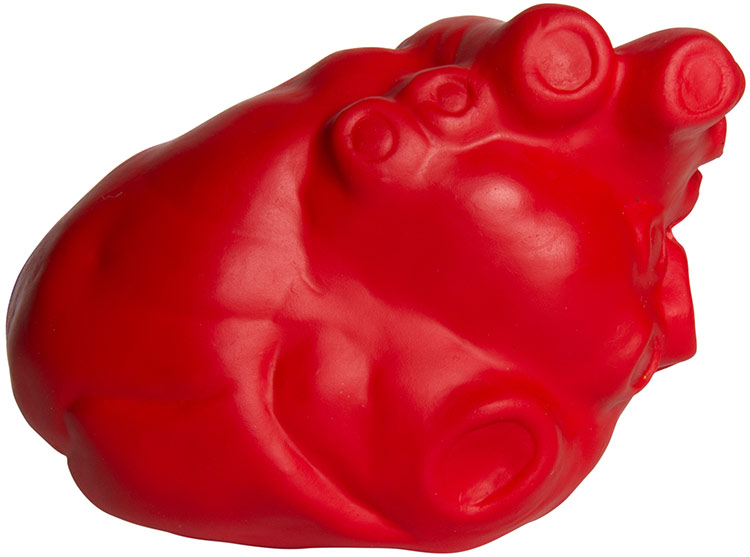 Anatomical Heart Stress Reliever 3
