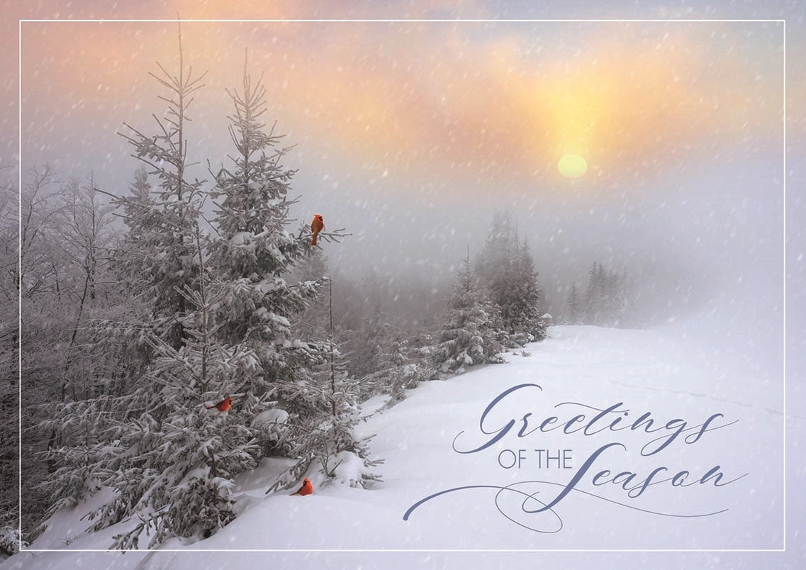 Fantastic Flurries Holiday Cards 2