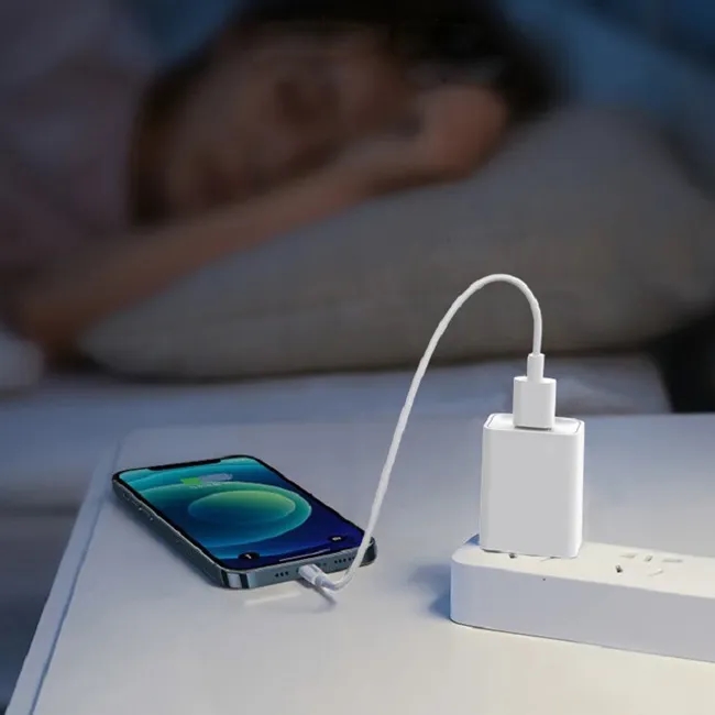 2.1A USB Wall AC Charger with Customized Logo Imprint 5