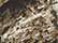Licensed Camo Hook-and-Loop Cap - LC15V 9