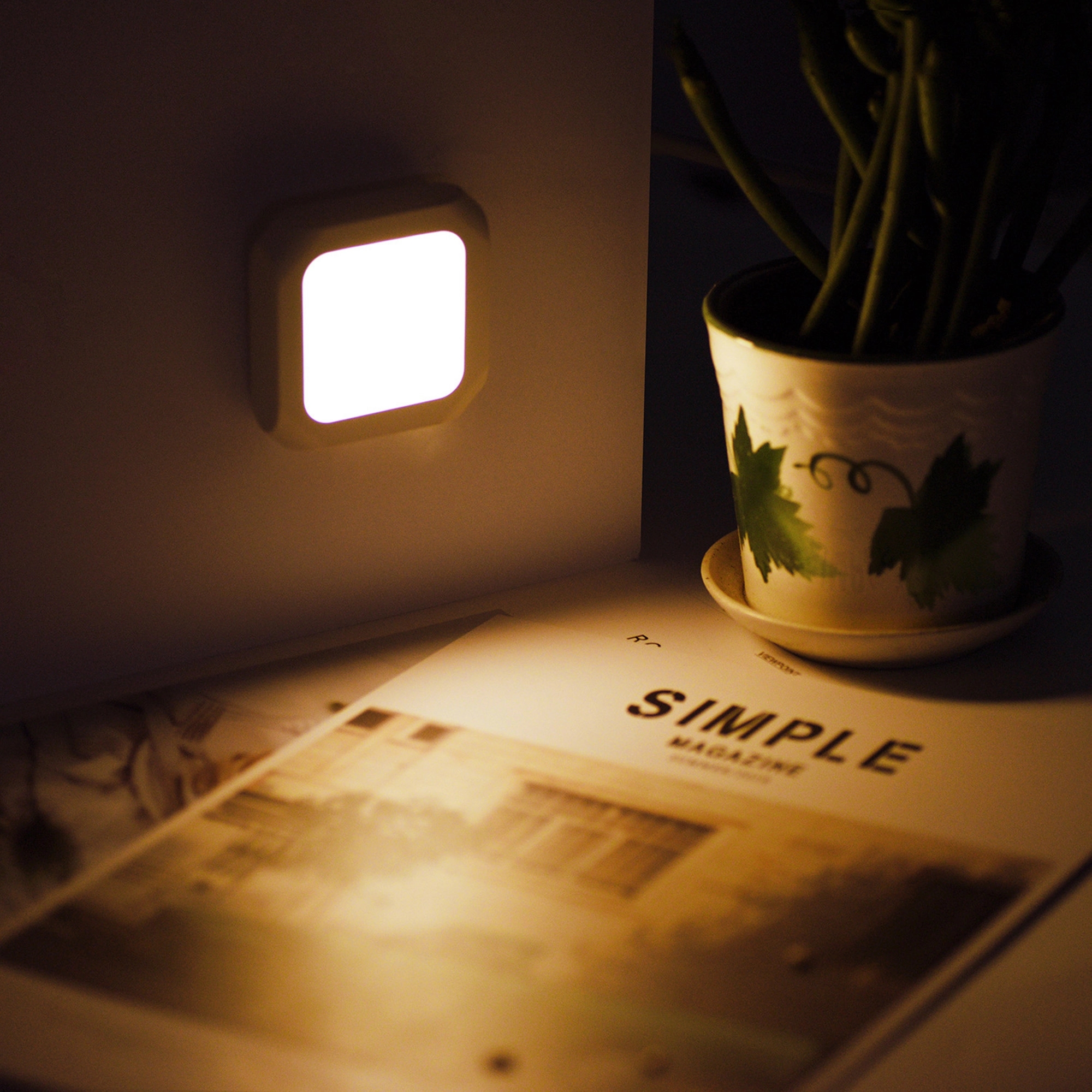 Plug-in Dimmable LED Night Light 4
