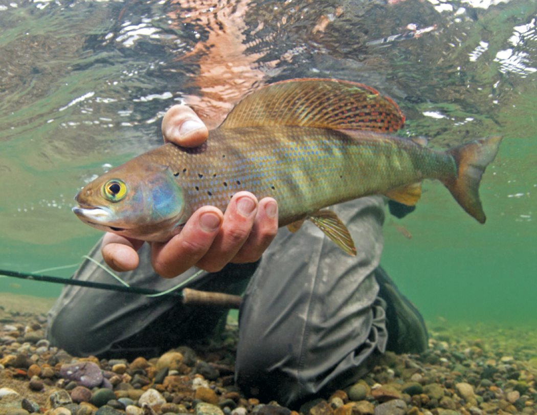 Good Value™ Fishing - Stapled Calendar 16