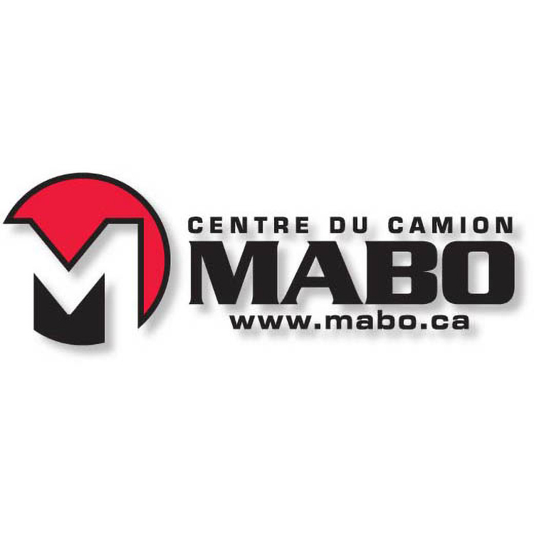 Econo Silhouette Decals .0025 Calendered 5 year vinyl (26 to 36 sq/in) spot colour