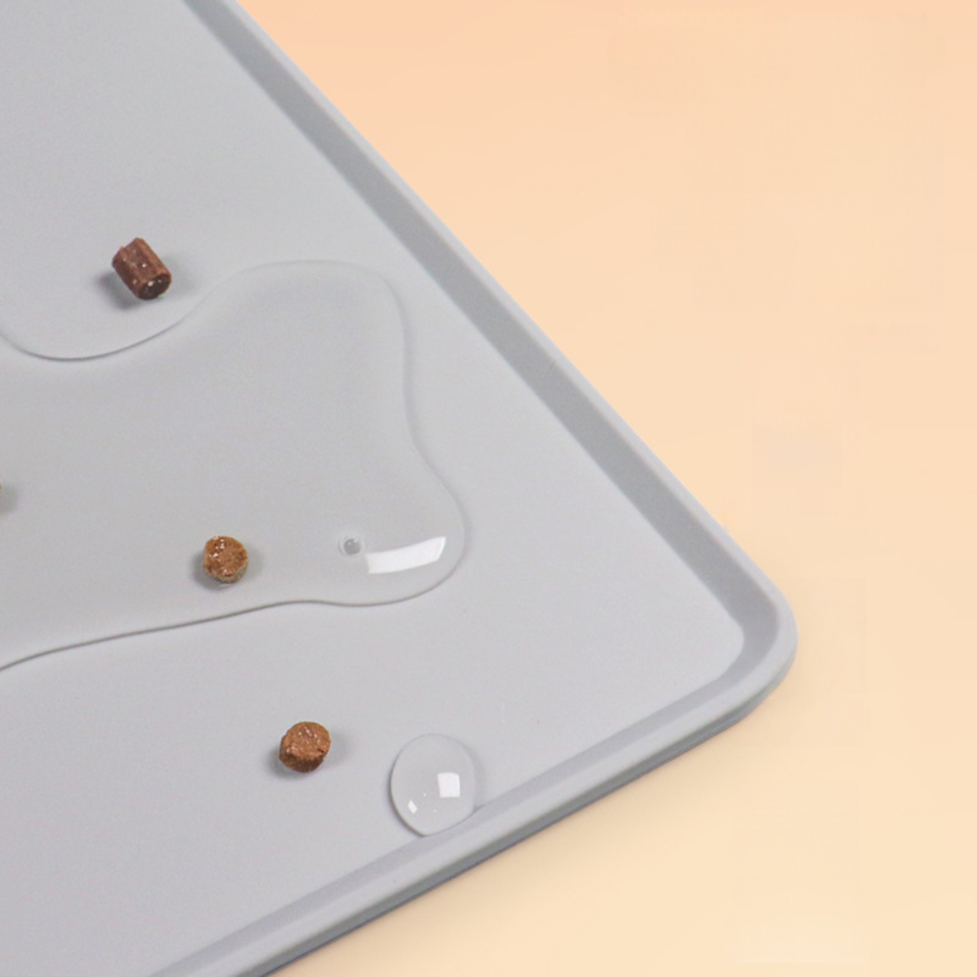 Silicone Pet Food Mat 1