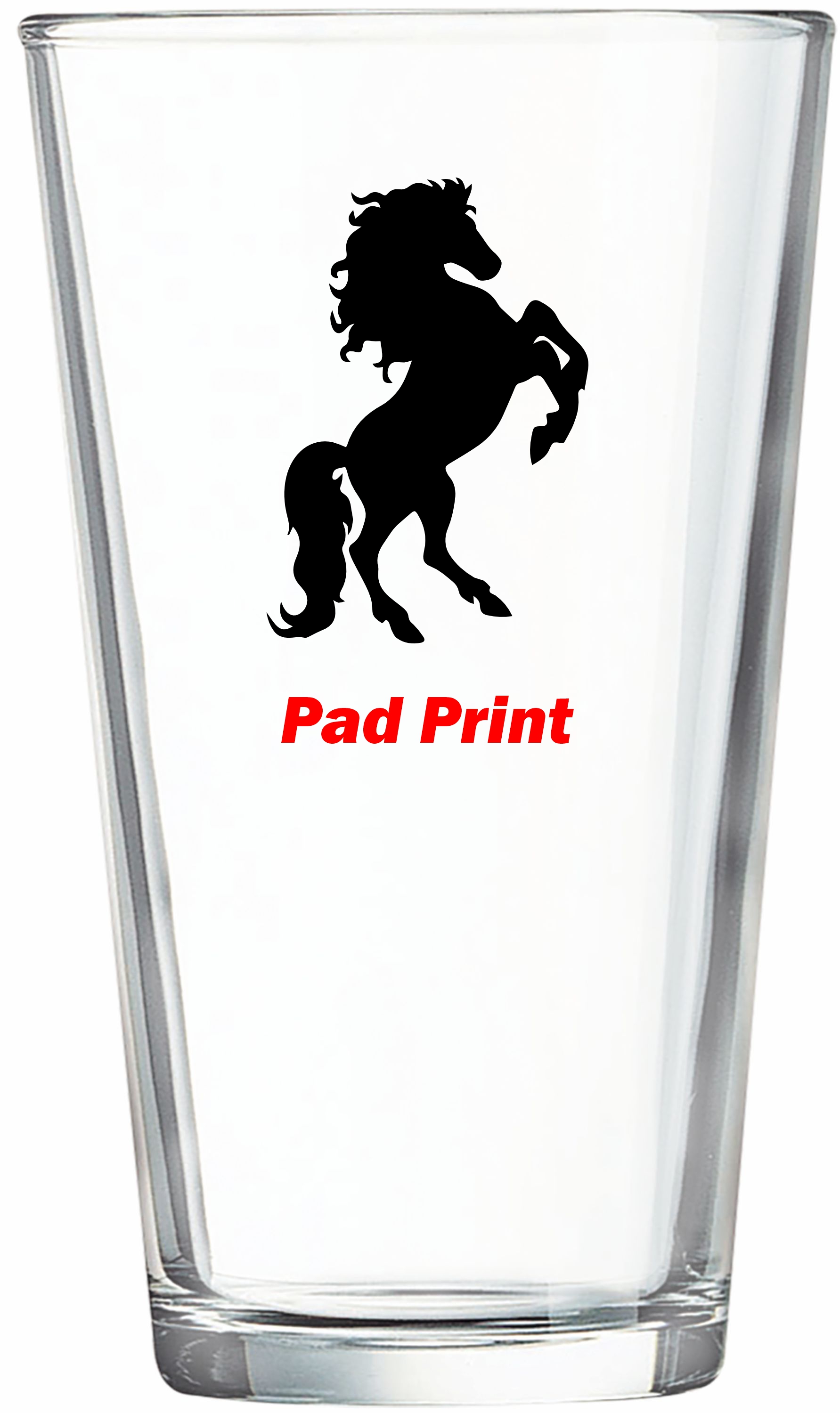 Polar Camel 16 oz Pint - Dishwasher Resistant - MADE IN THE USA