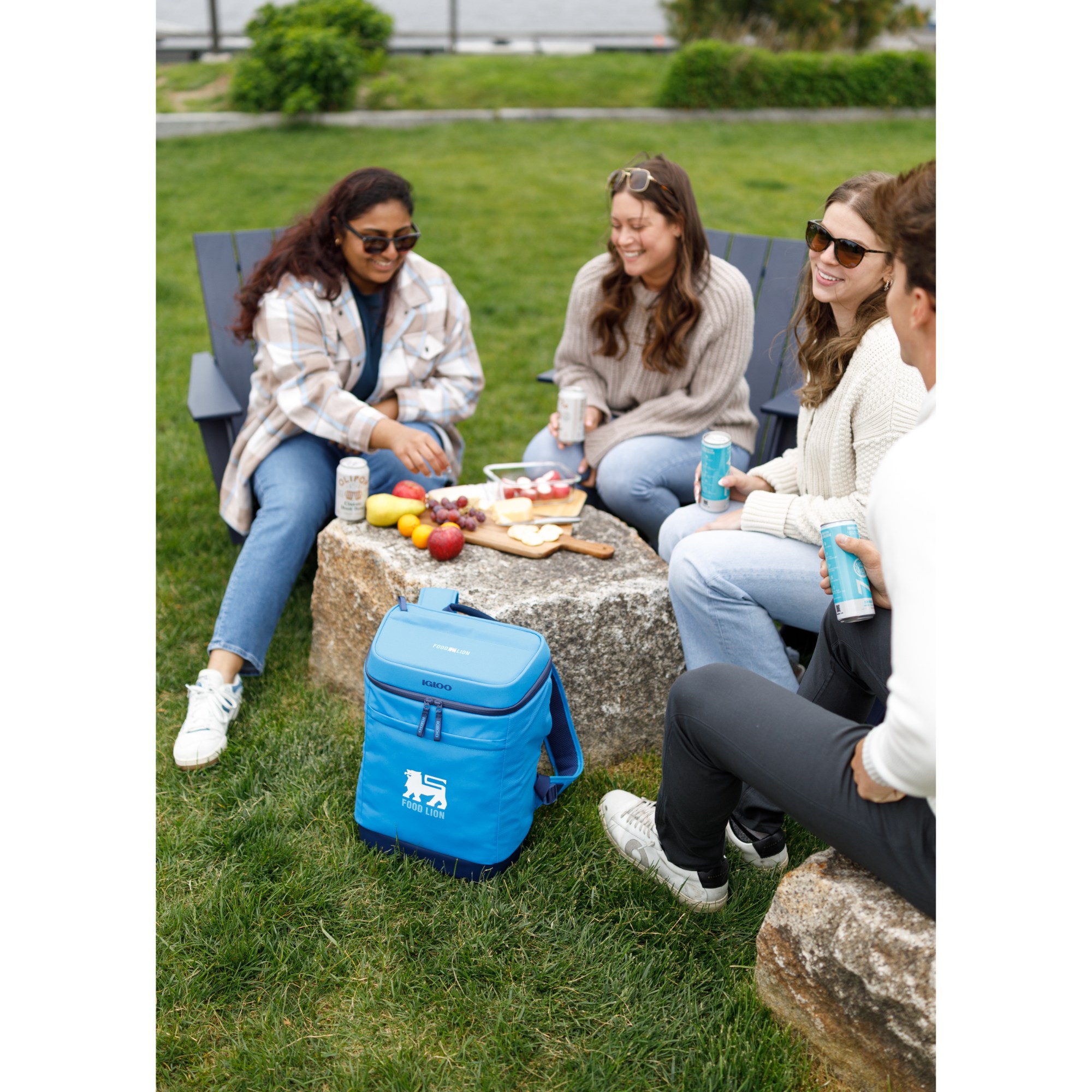 Igloo® Day Chiller Backpack 24 Can Soft Cooler 2