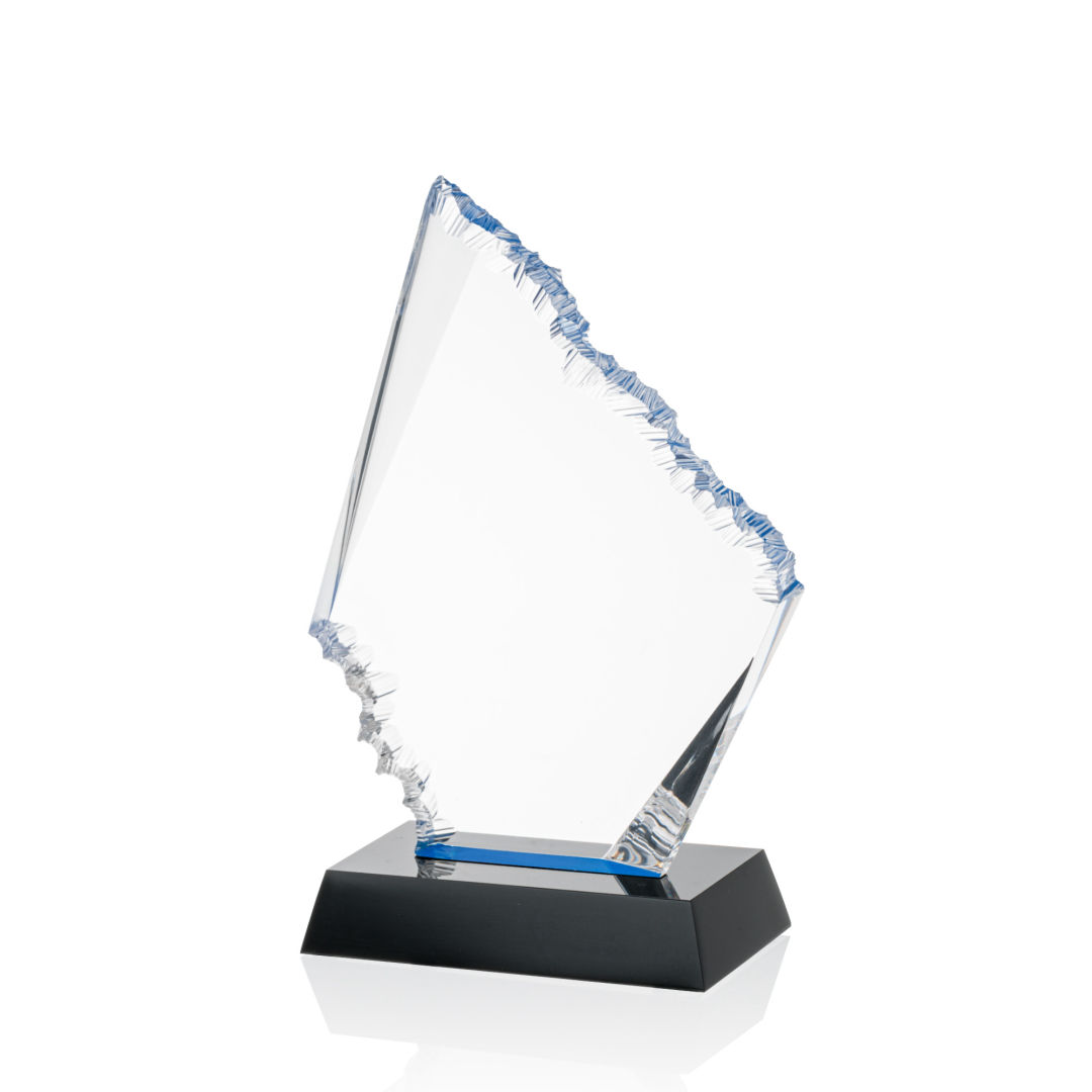 Reddington VividPrint™ Award 5