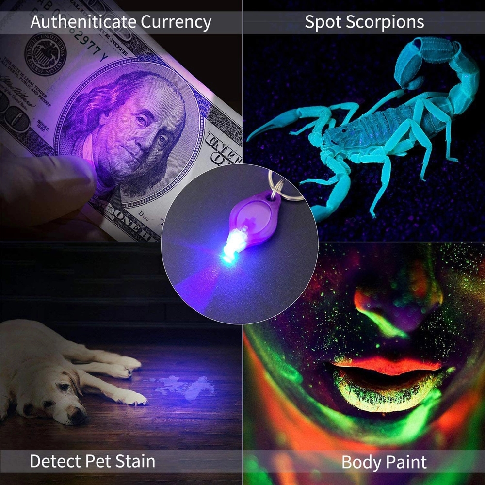 UV LED Flashlight Keychains (365nm) 7