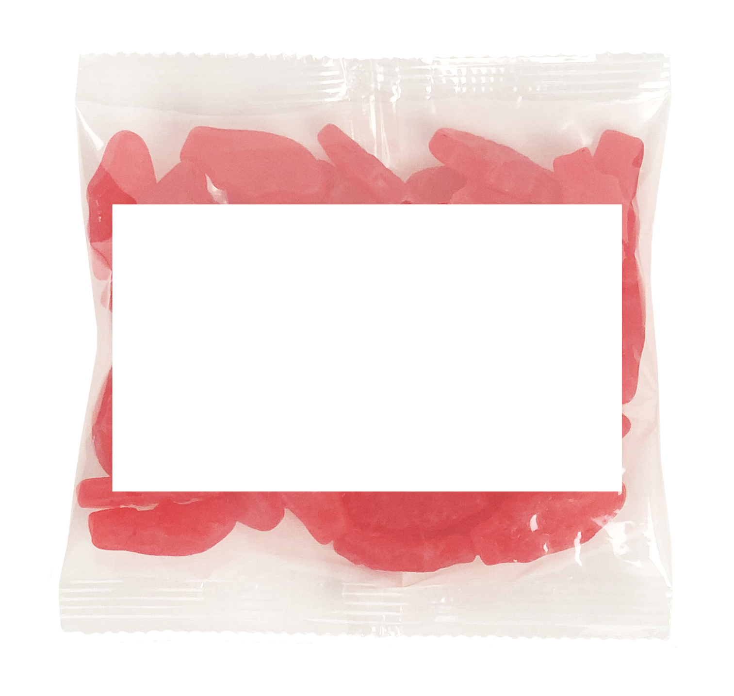 Large Snack Bag with Rectangle Magnet Standard Fill 27