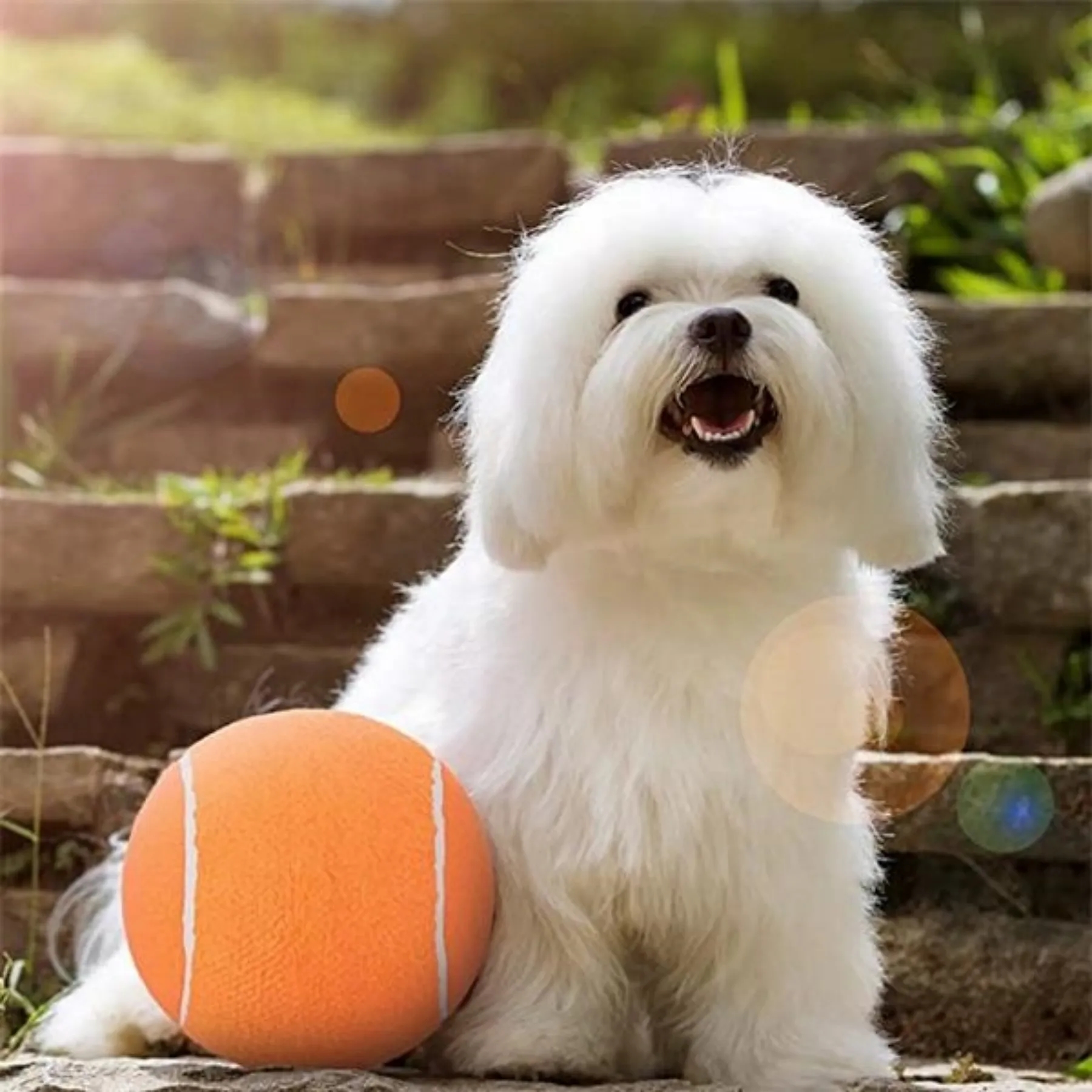 9.5" Inflatable Giant Pet Tennis Balls 3