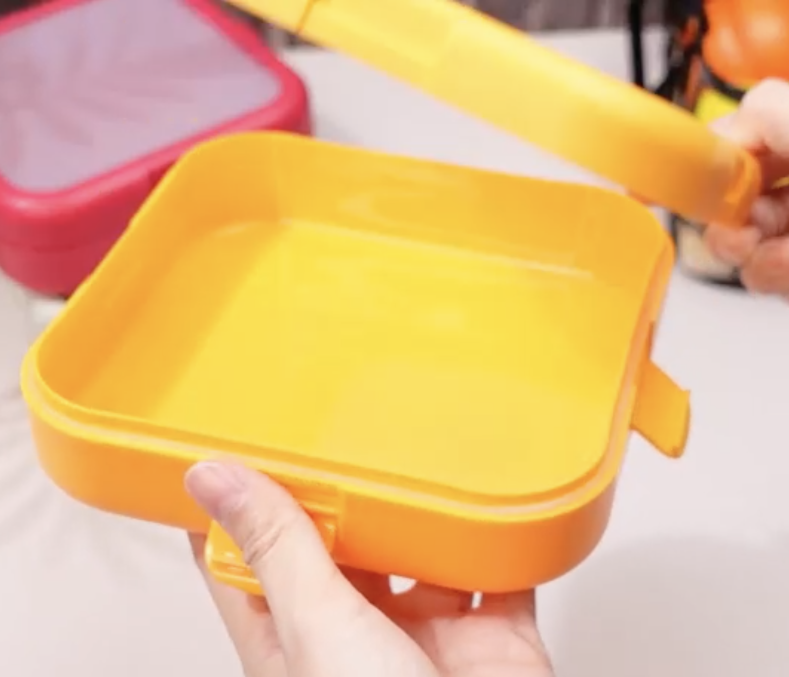 Silicone Fruit Storage Box 8