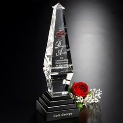 Epitome Award 7