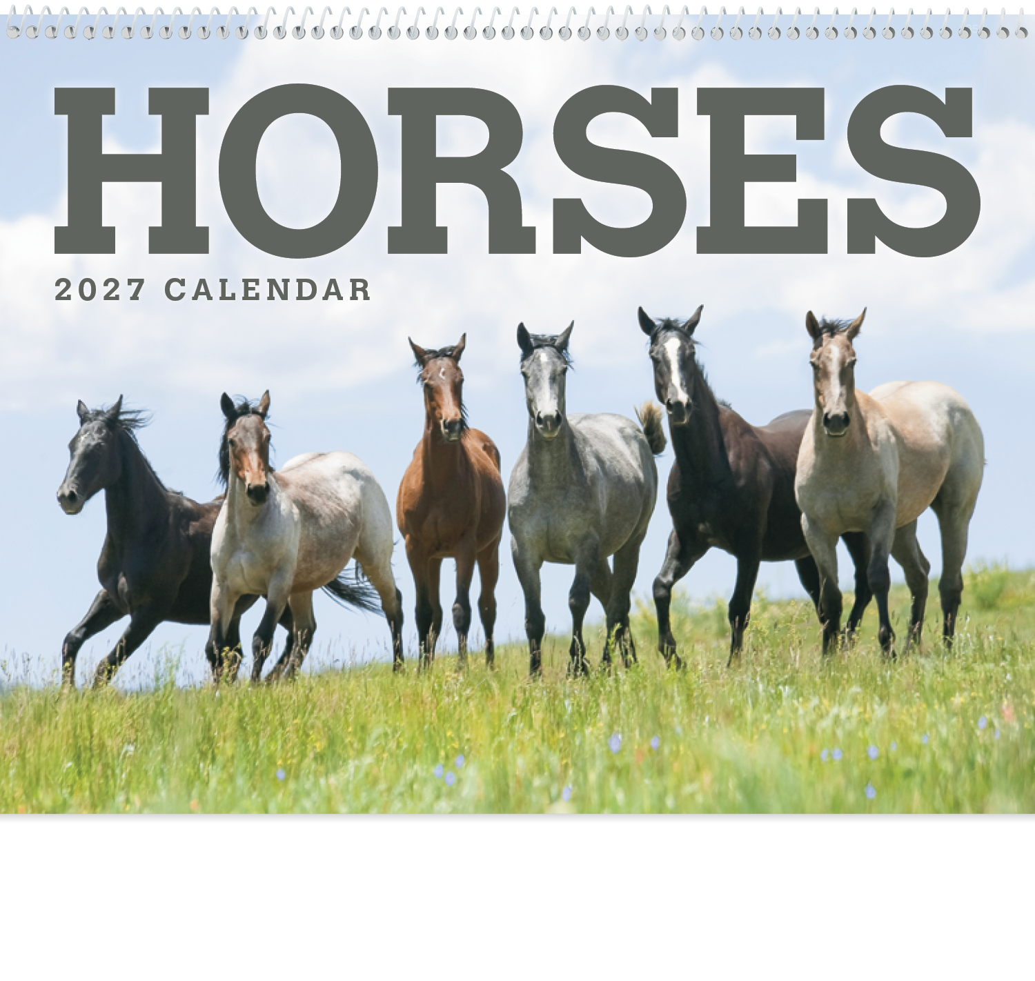 Triumph® Calendars Horses Calendar 66