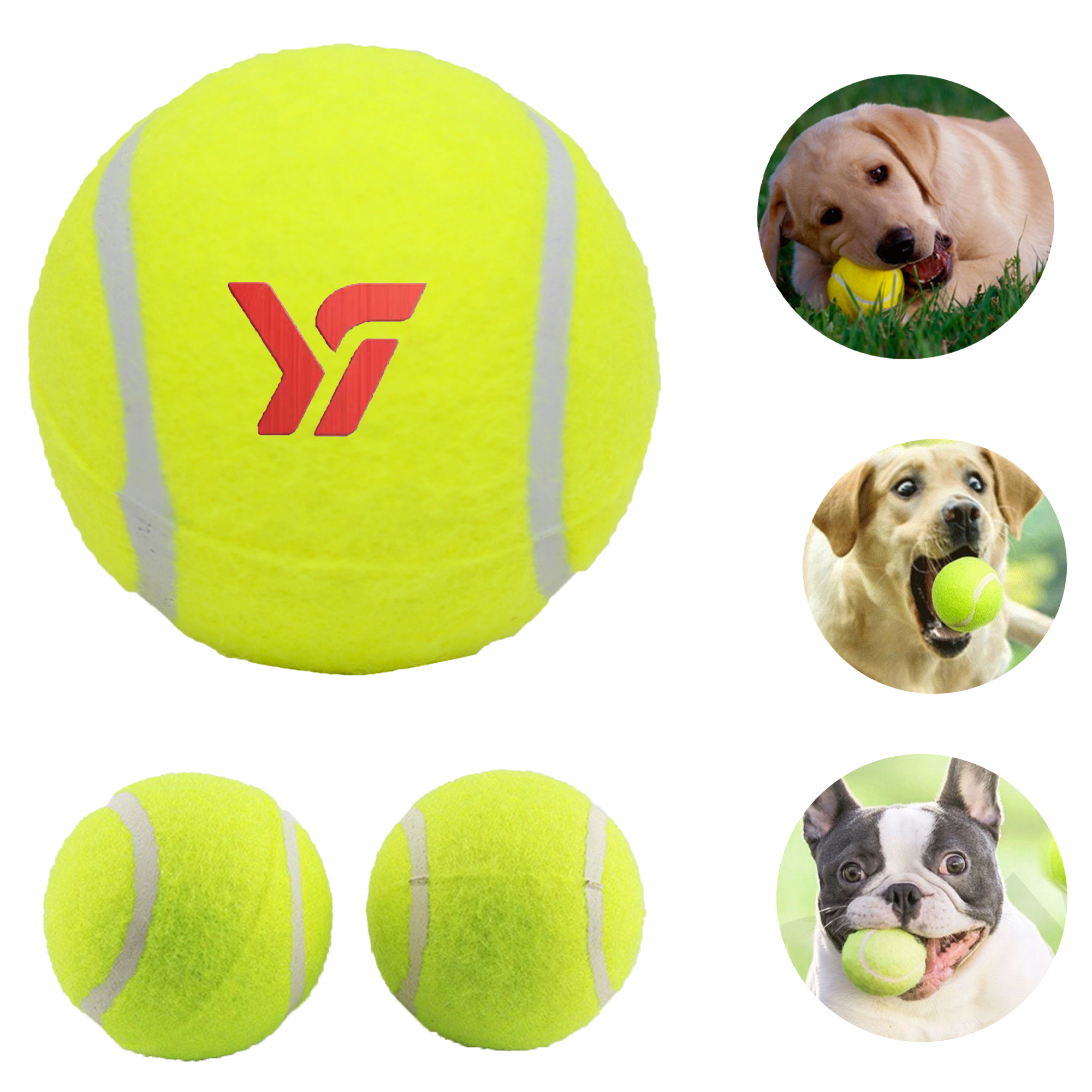 Pet Dog Toy Tennis Ball 3