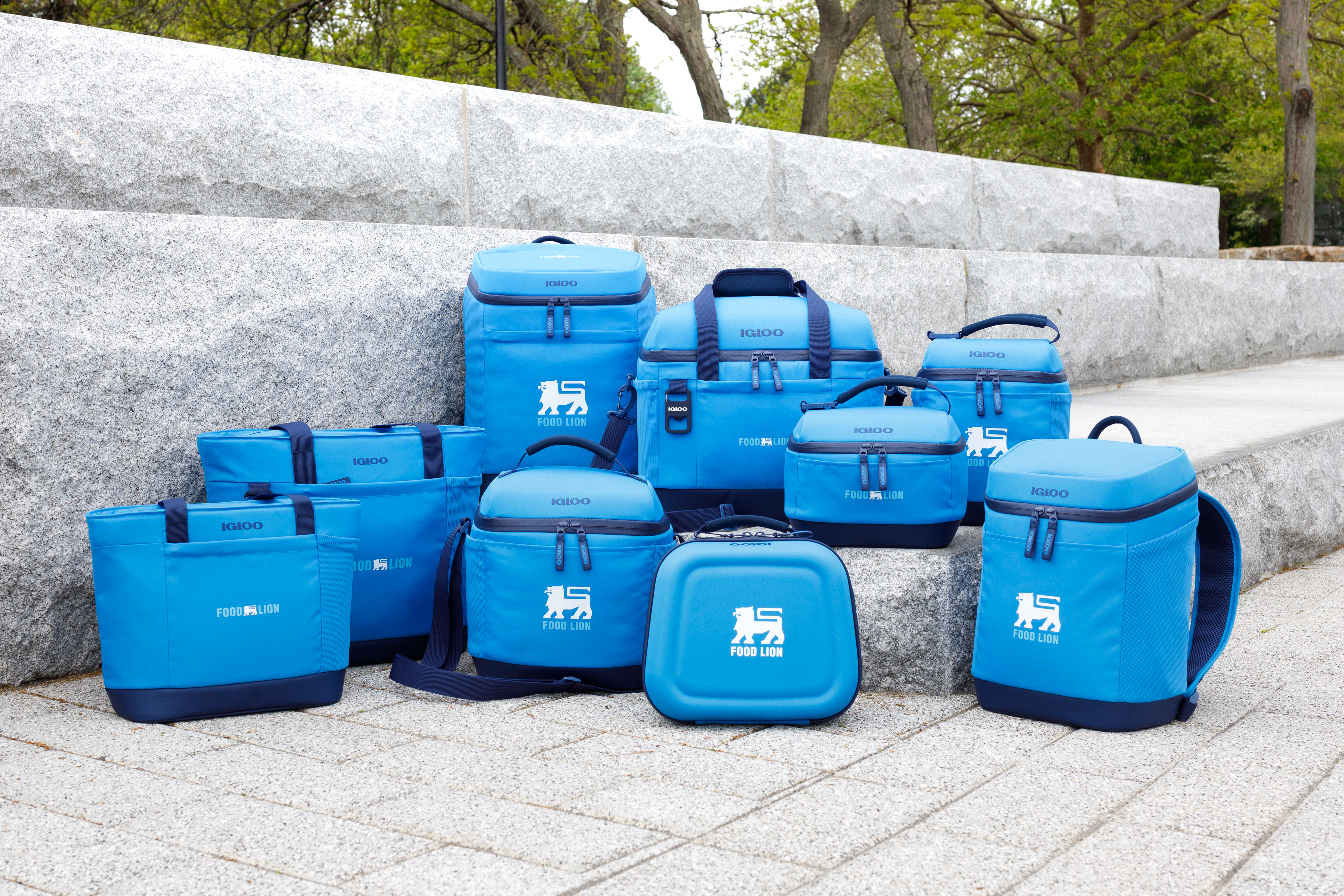 Igloo® Day Chiller Recycled Poly Lunch Box 30