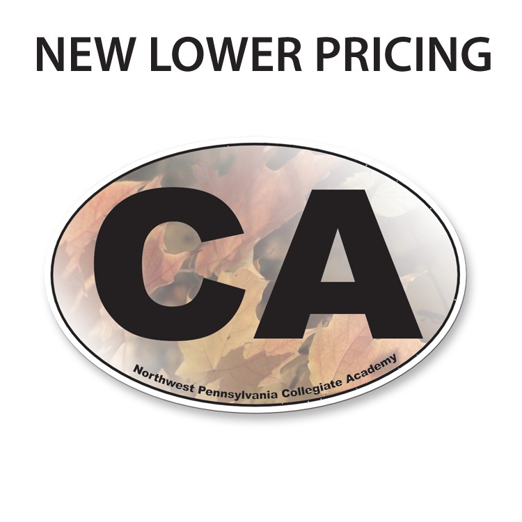 30 Mil Small Oval Car Magnet - Full Color 3