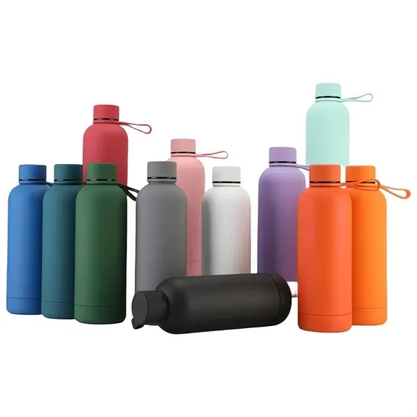 Stainless Steel Insulated Water Bottle with 17 oz Mouth 8