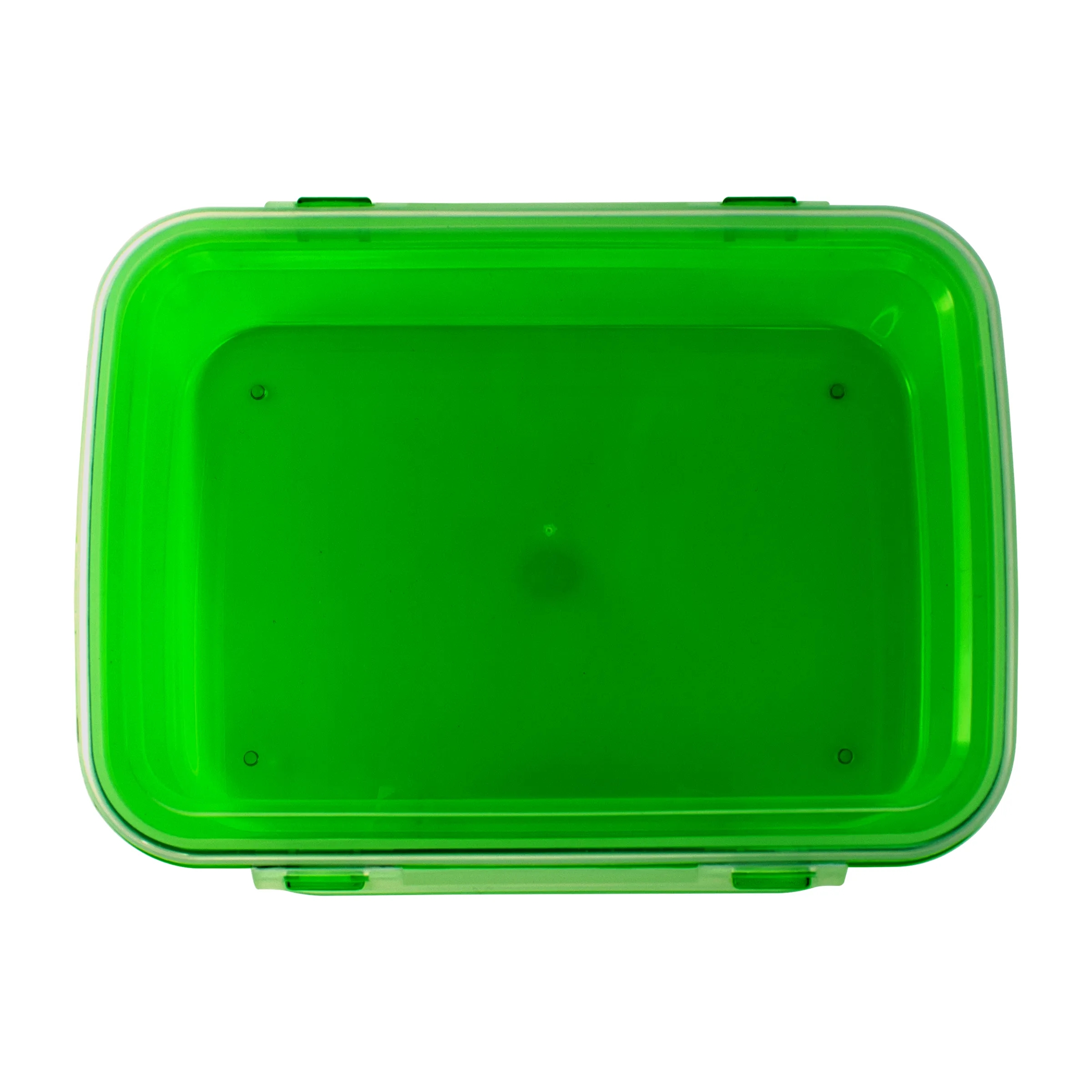 Full Color Clip Top Lunch Container 6