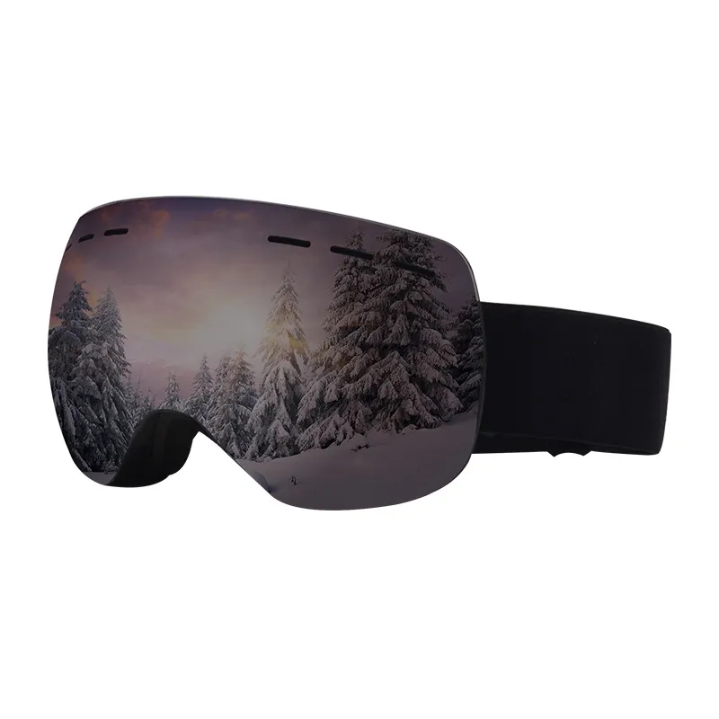 Snowboard Goggles Detachable Lens 2