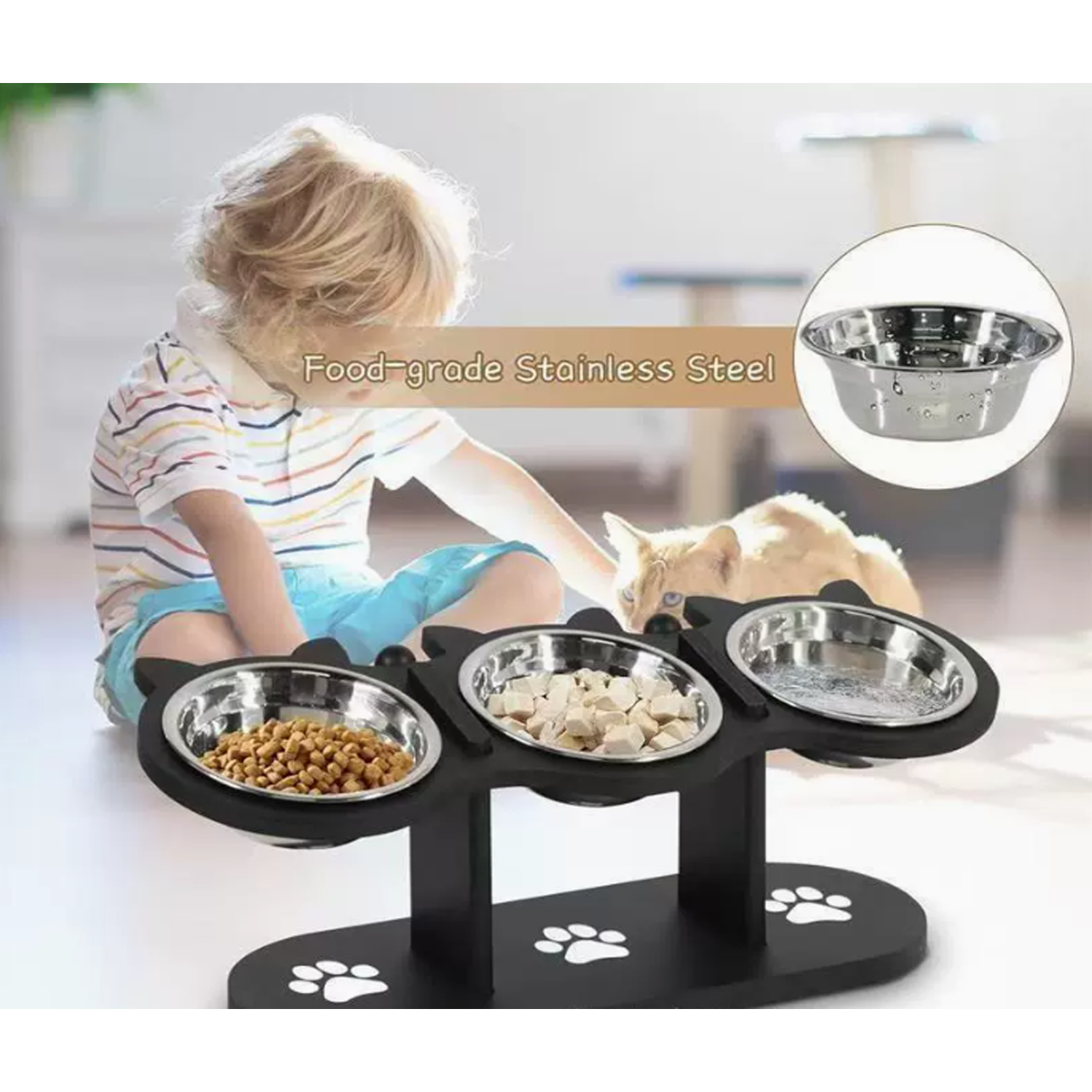Pet Feeder 3