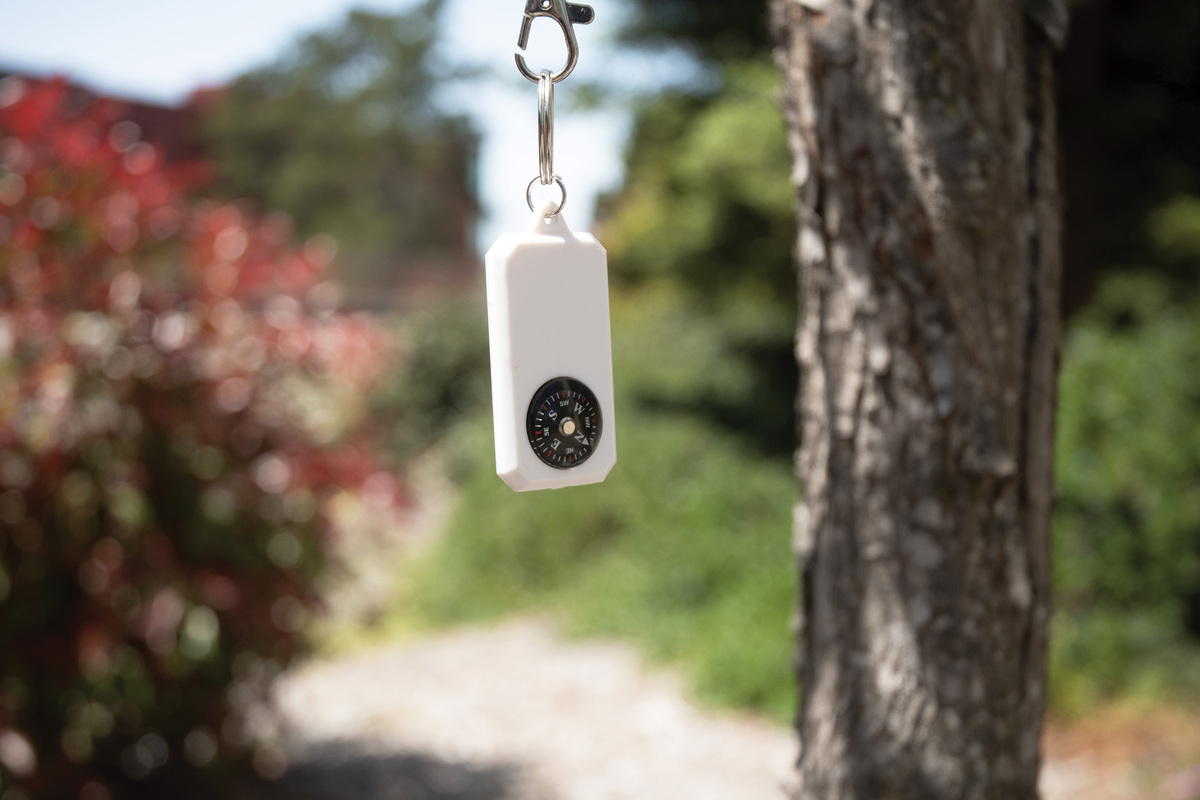 Compass Keyring 3