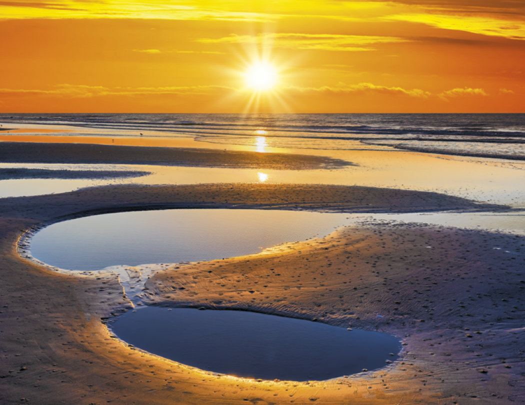 Triumph® Calendars Sunrise Sunset Calendar 39