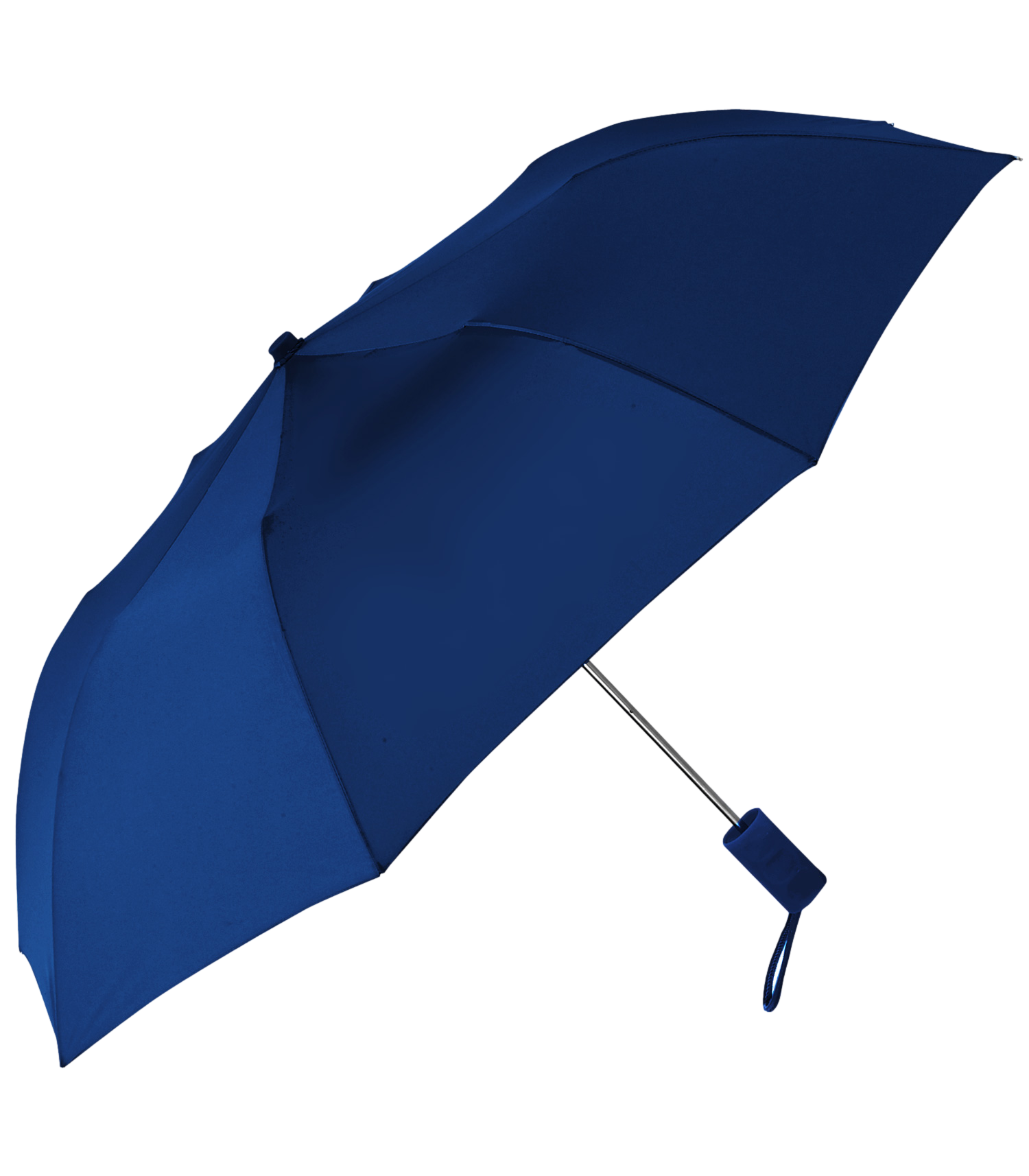The Pongee Revolution Umbrella 2