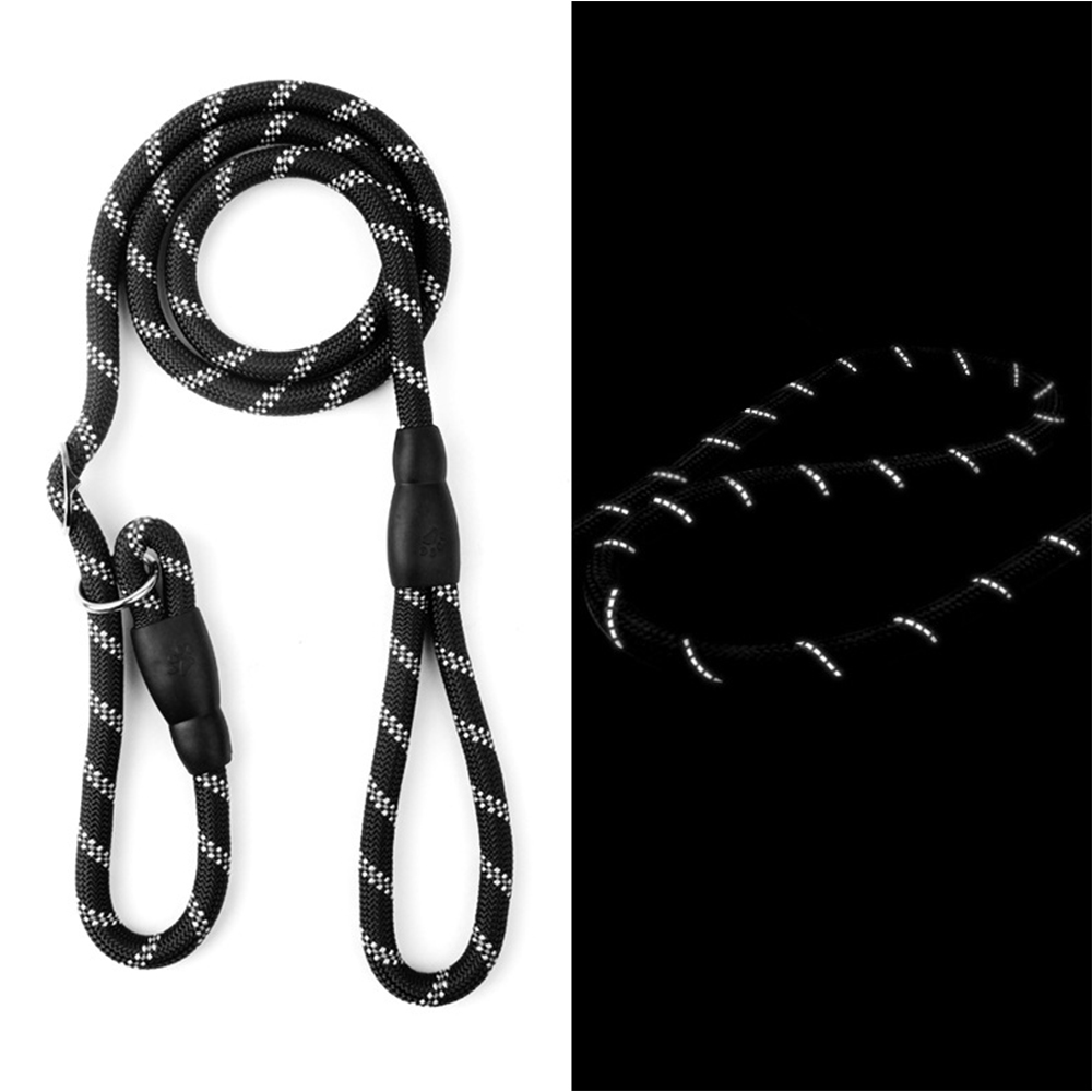 Pet Leash 6