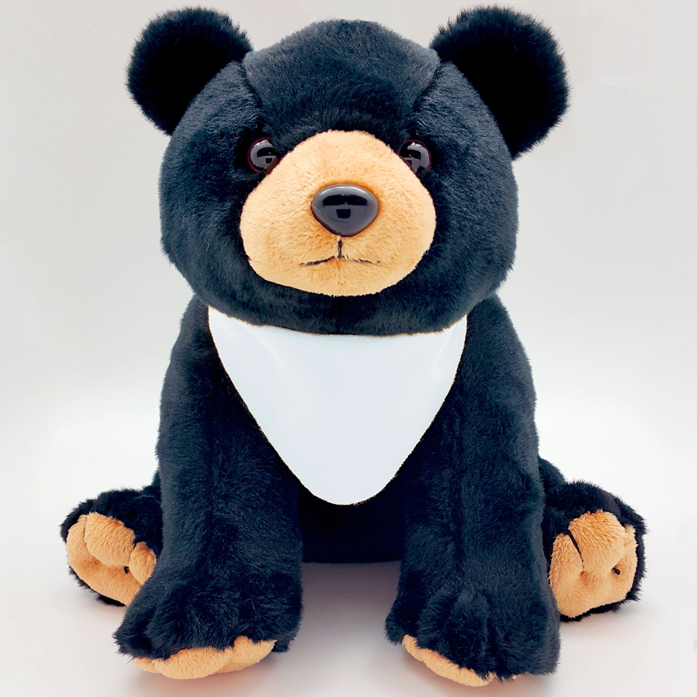 10" Black Bear 14