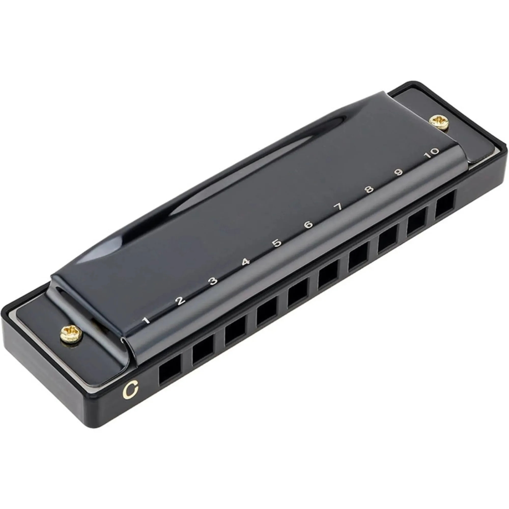 10 Holes 20 Tunes Mouth Organ Blues Deluxe Harmonica Gift 4