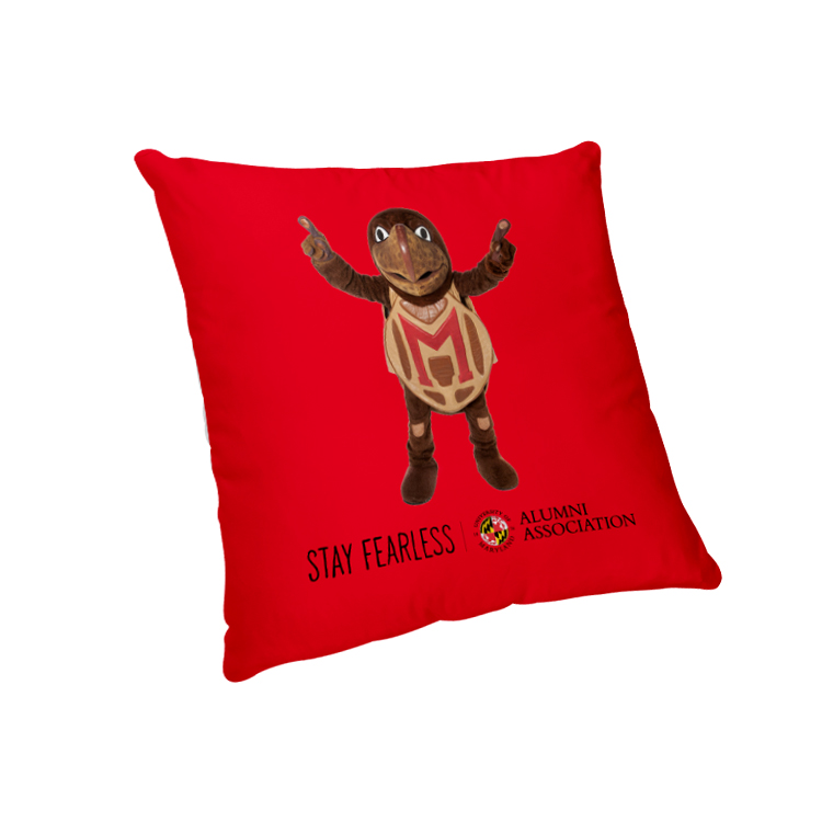 12" x 12" Sublimated Polyester Small Throw Pillow 10