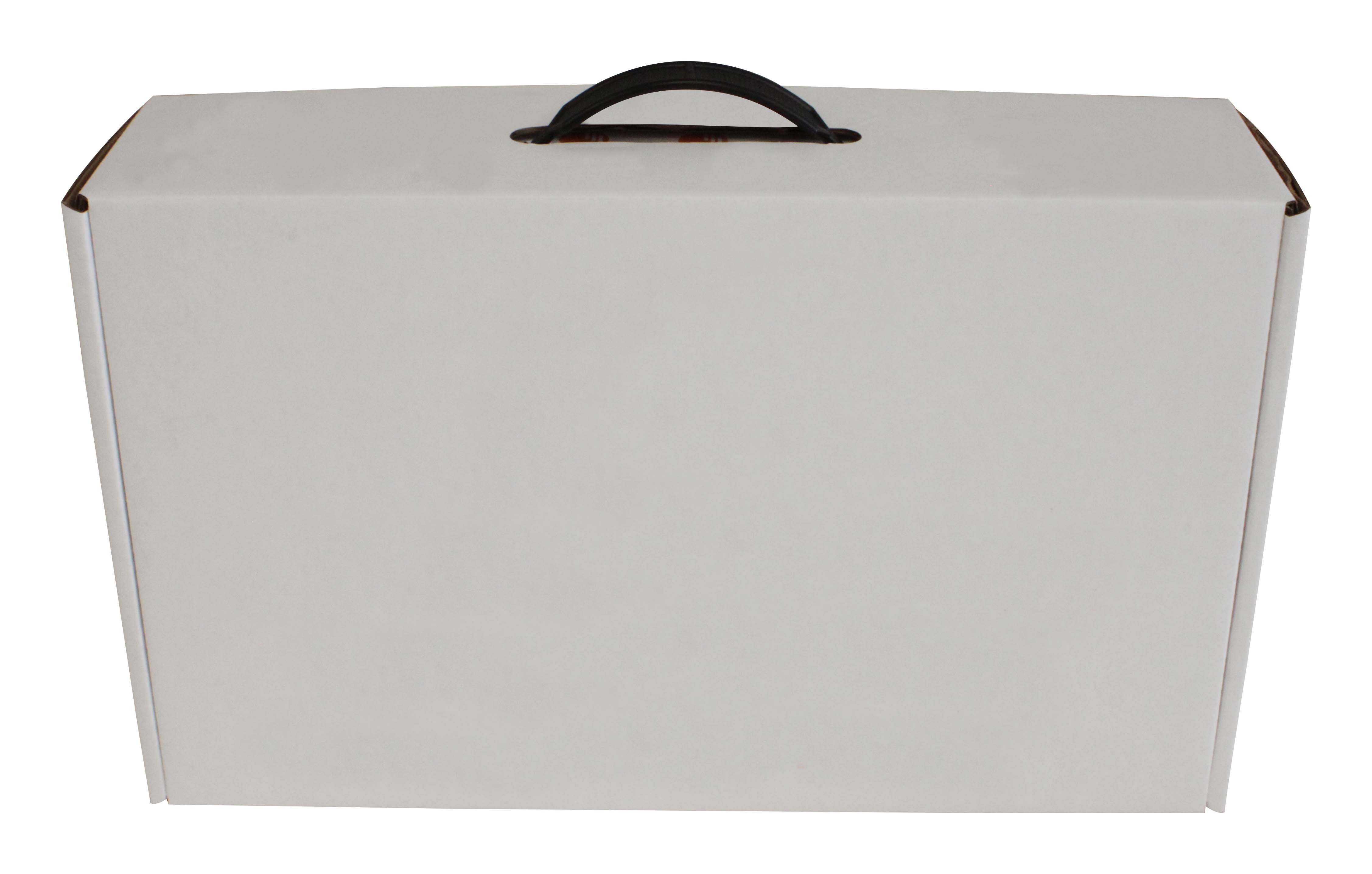 14 3/4" x 9" x 4" - Box with Hinged Handle 1