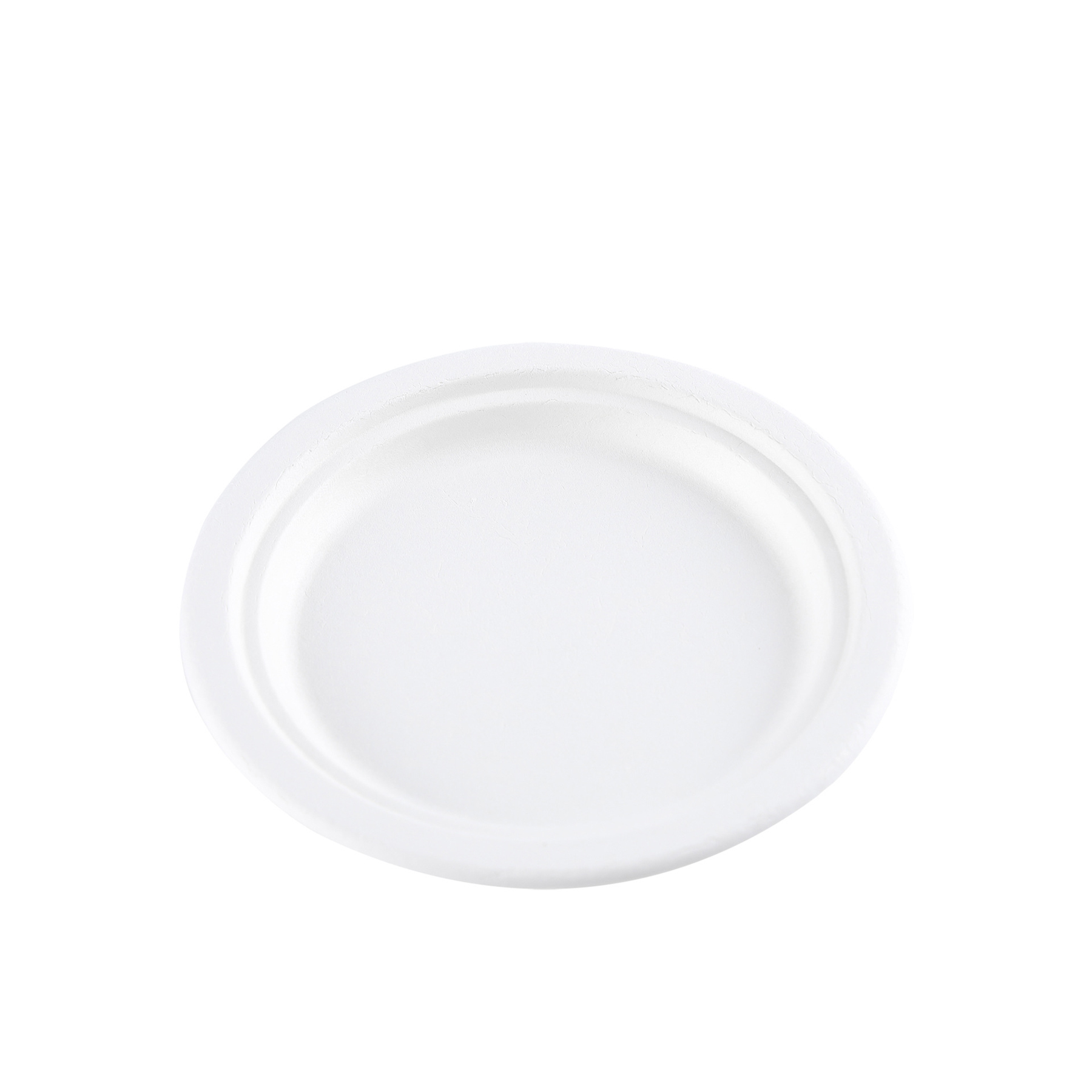 10 Inches Disposable Food Plate 3