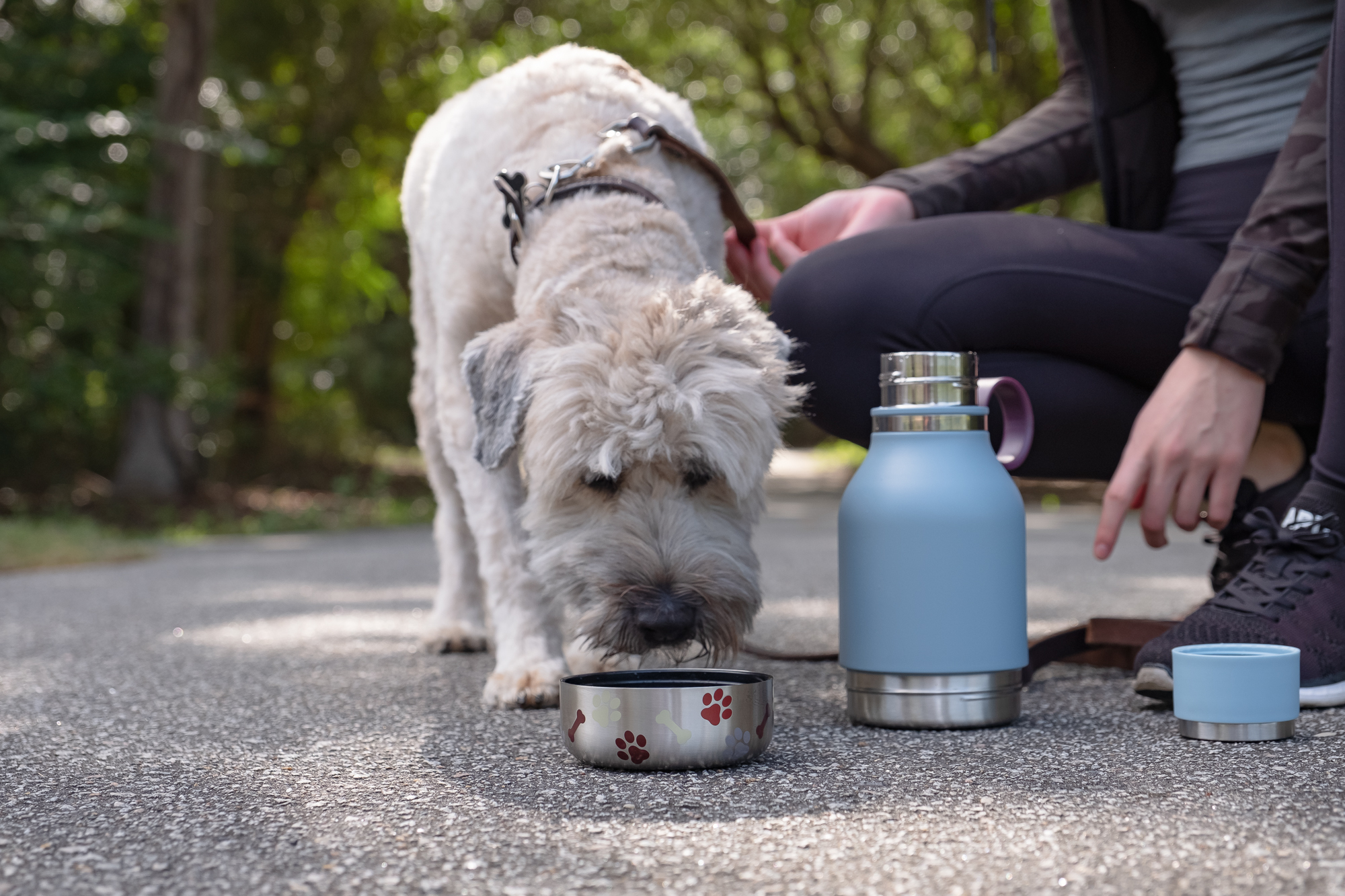 Asobu 33 Oz. Dog Bowl Bottle