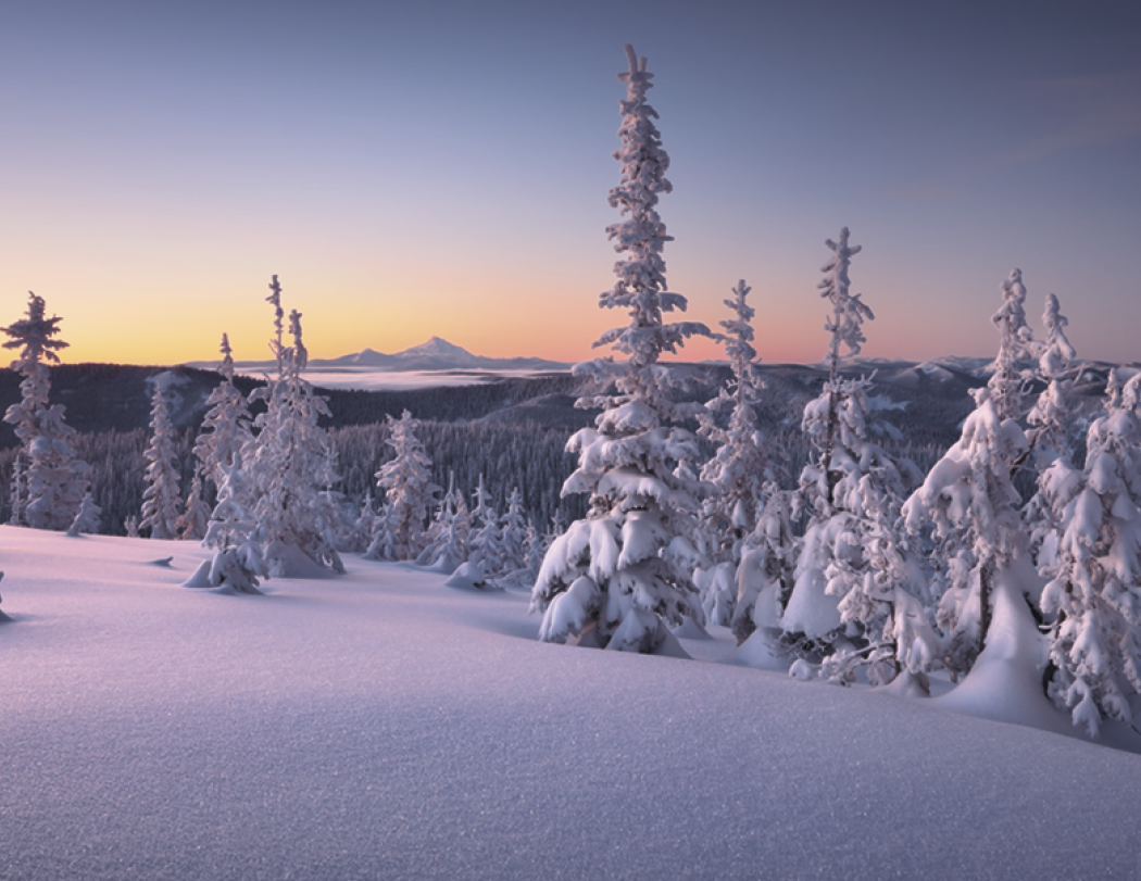 Good Value™ Landscapes of America - Stapled Calendar 45