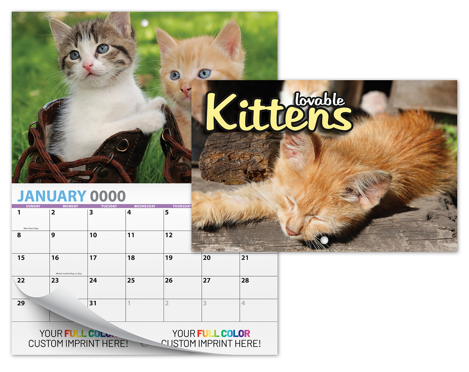 13 Month Mini Custom Photo Appointment Wall Calendar - KITTENS 3