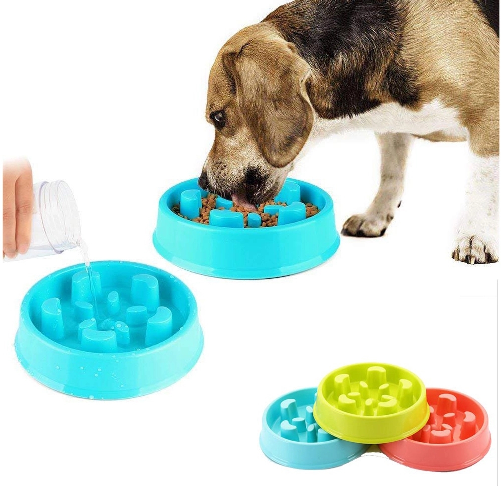 Dog Feeder Slow Eating 2
