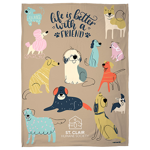 Light-Weight Brushed Fleece Blanket 50" x 60" 300GSM - Full Color 2