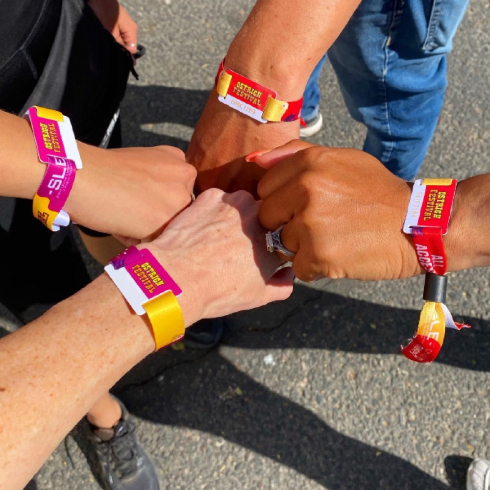 RFID Festival Wrist Band 10