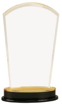 9 1/4" Arch Impress Gold Mirror Acrylic Award 2