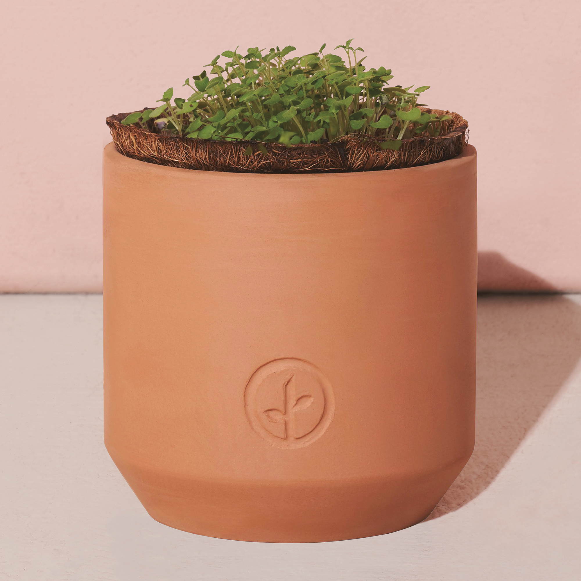 Modern Sprout® Tiny Terracotta Grow Kit Champagne Poppies 8