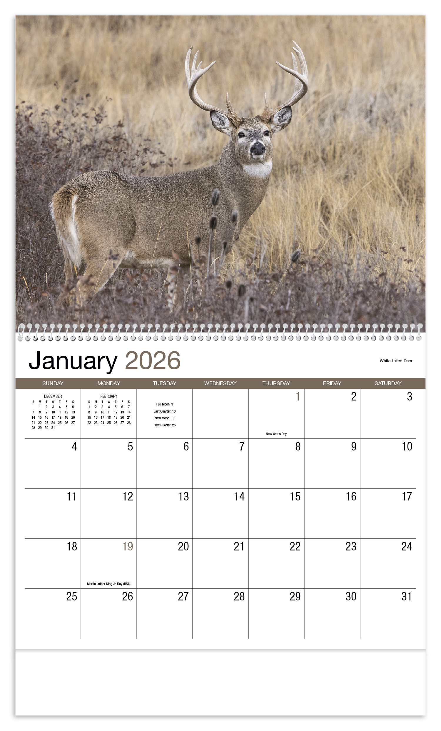 HotLine® Products Norman Rockwell Appointment Calendar - Spiral 28