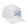 Unisex DOMINATE Ballcap 314