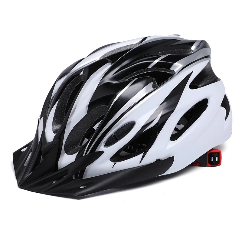 Cycle Helmet 10
