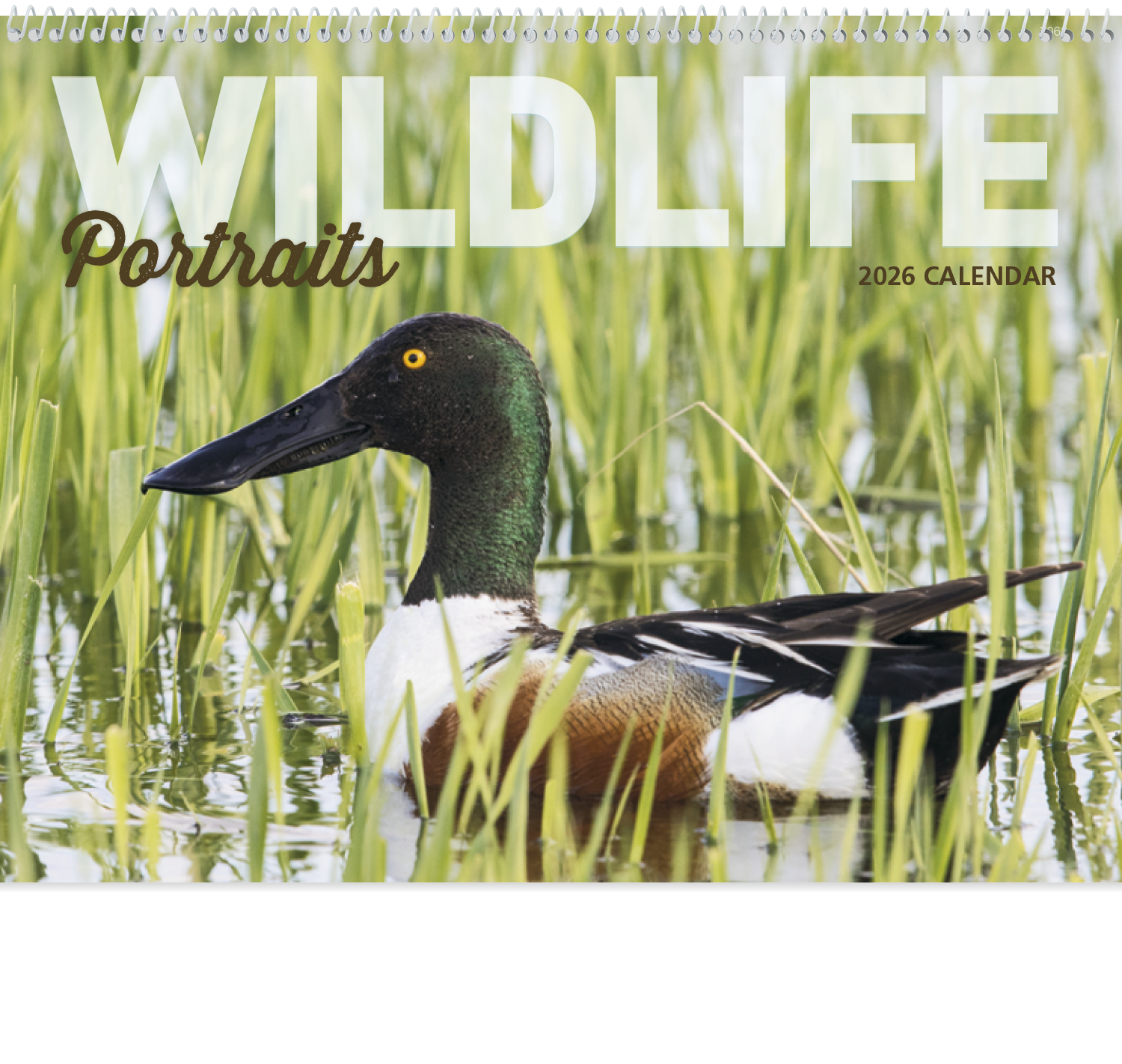 Good Value™ Wildlife Portraits - Spiral Calendar 43
