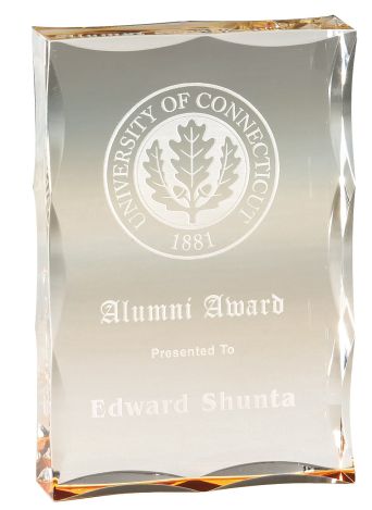 Scalloped Edge Acrylic Award 2