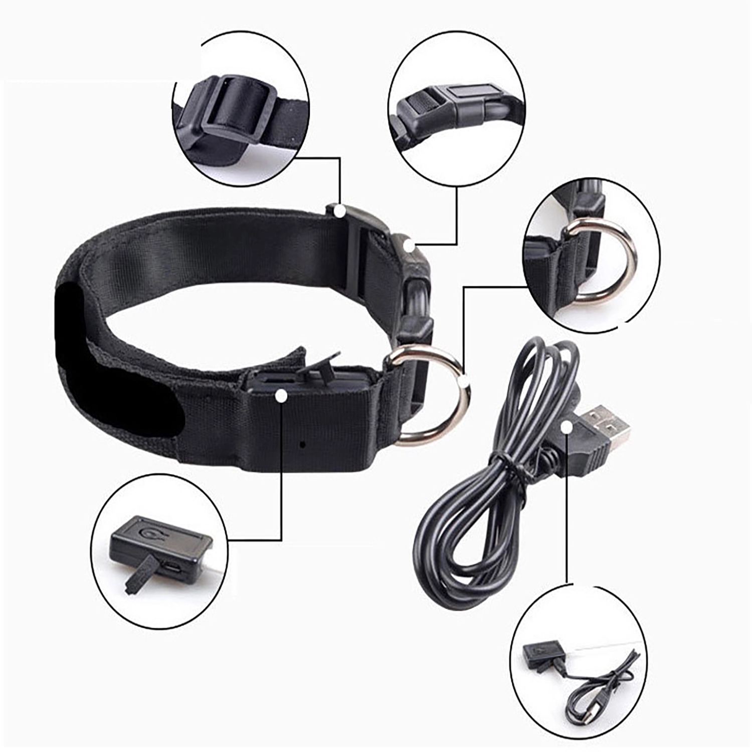 Led Dog Collar 1