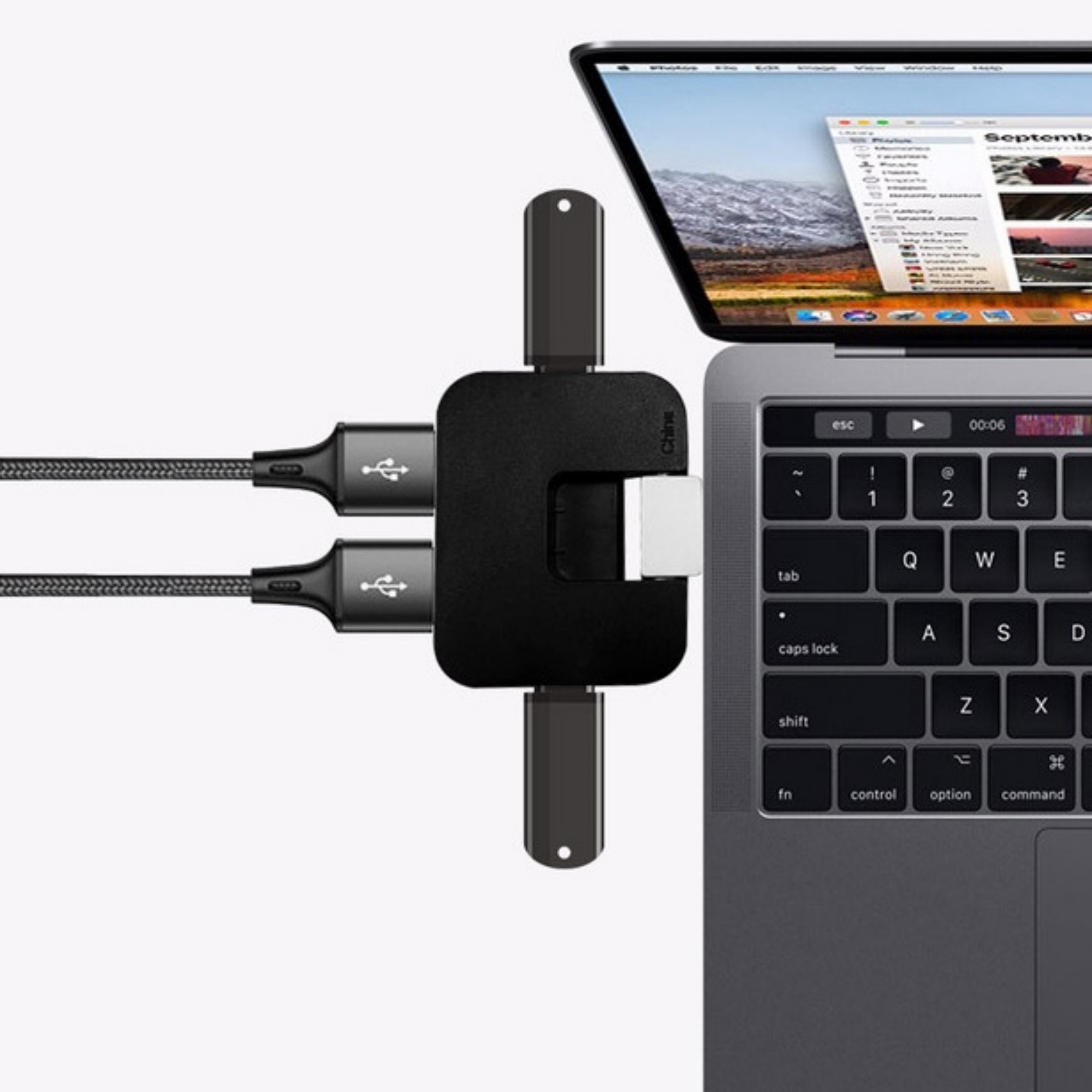 1-to-4 Port Adapter 1