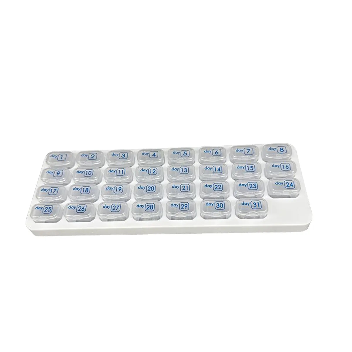 Monthly 31 Grid Pill Box 1