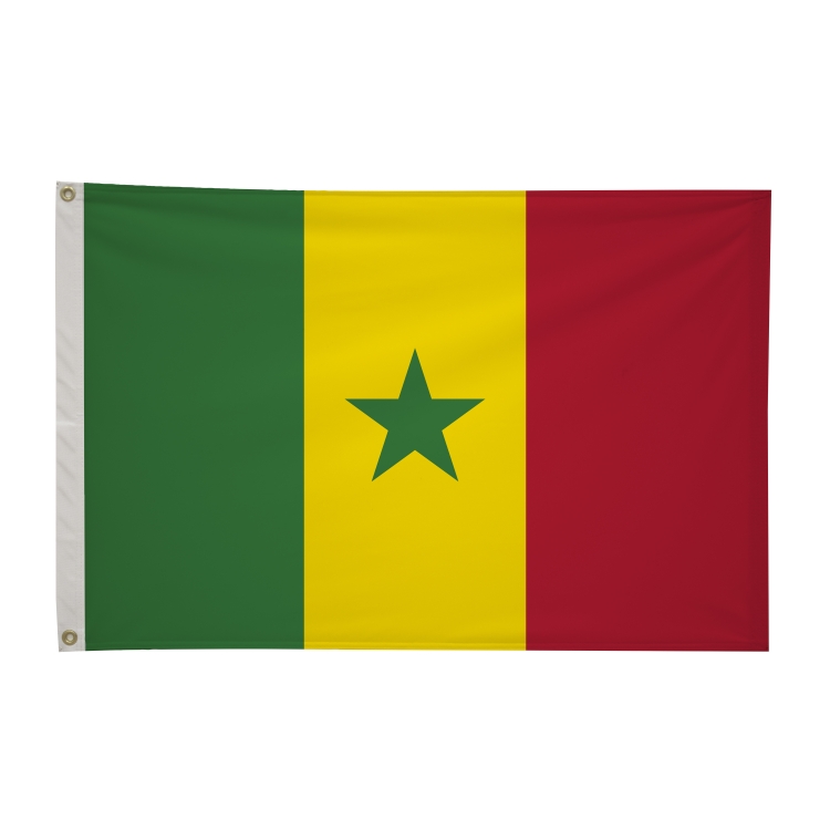 2' x 3'International Flag 300